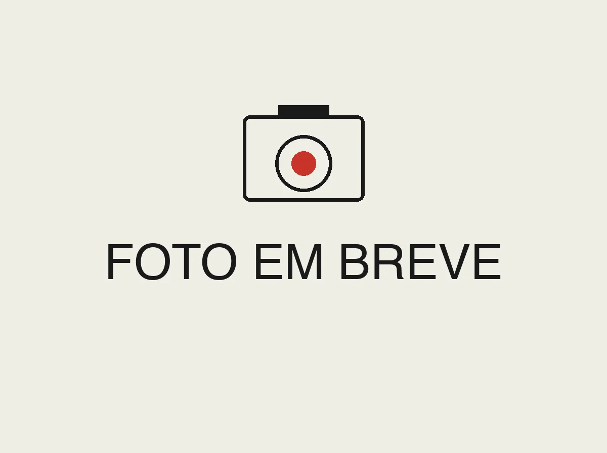 Bota de borracha preta cano curto para uso industrial — Guarubor EPI